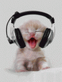 /album/fenykepgaleria/mozgo-gif/