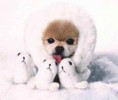 /album/cuki-kepek/ckiu-jpg/
